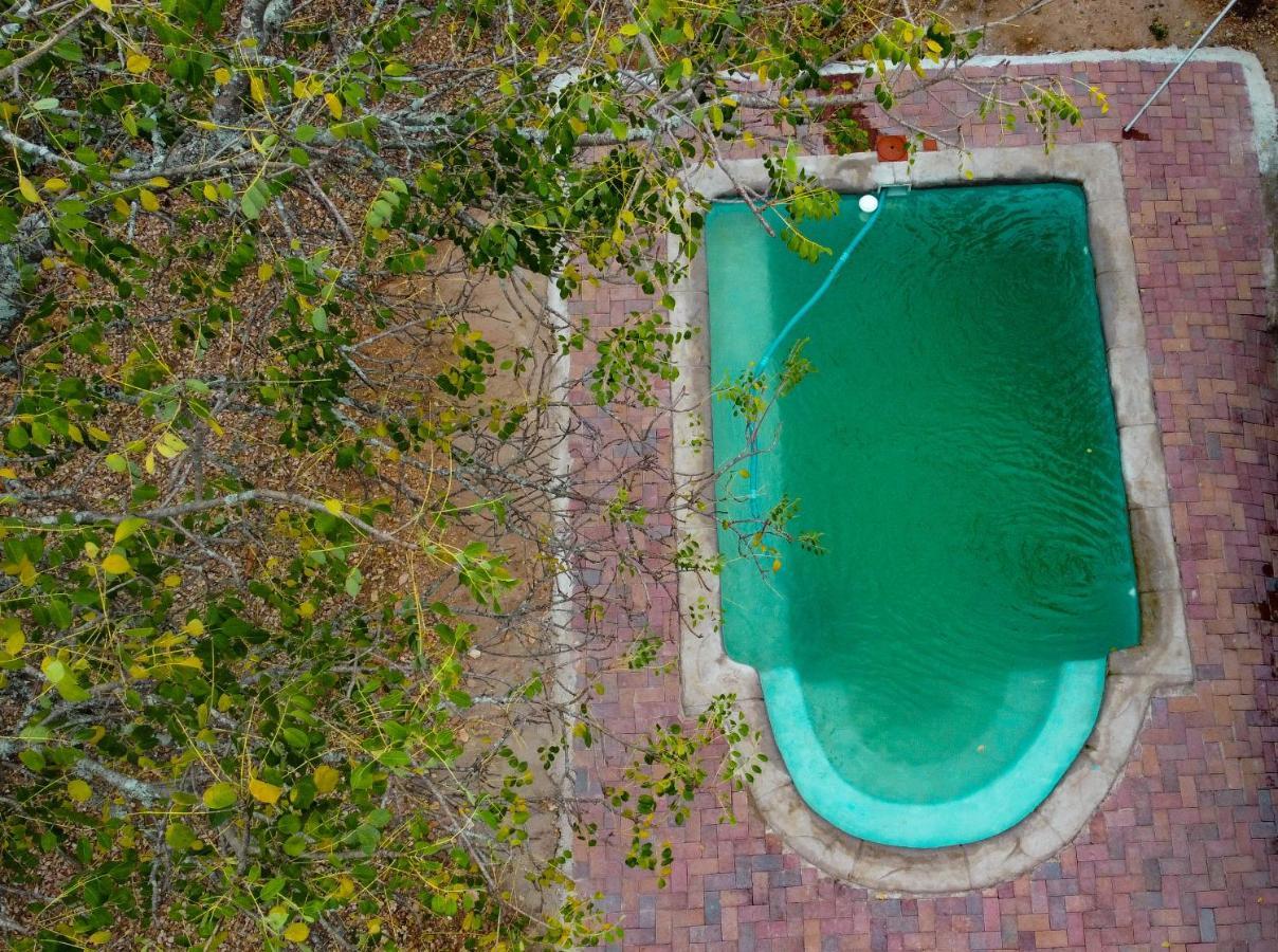 Nanisto Bush Lodge Marloth Park Zewnętrze zdjęcie