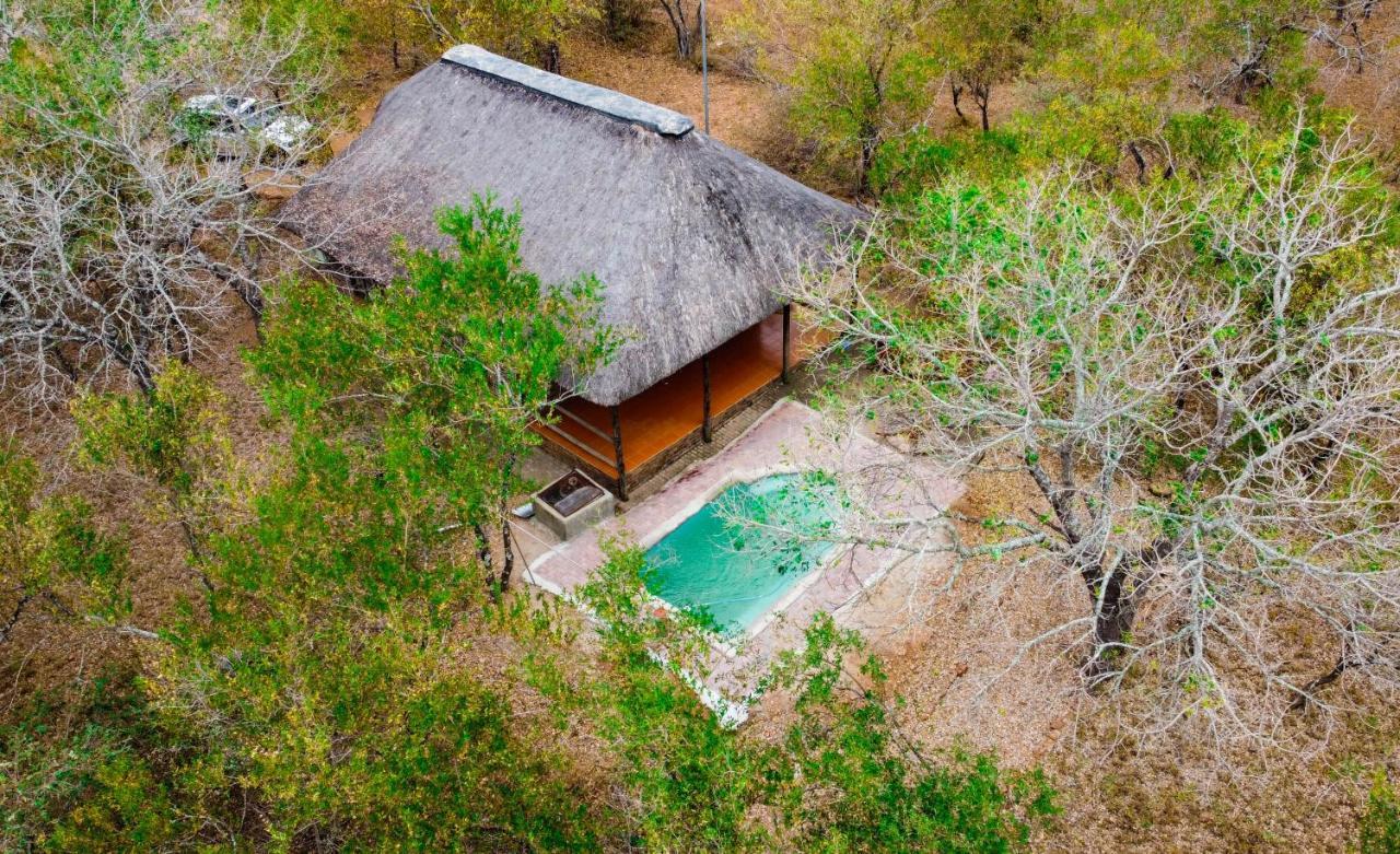 Nanisto Bush Lodge Marloth Park Zewnętrze zdjęcie