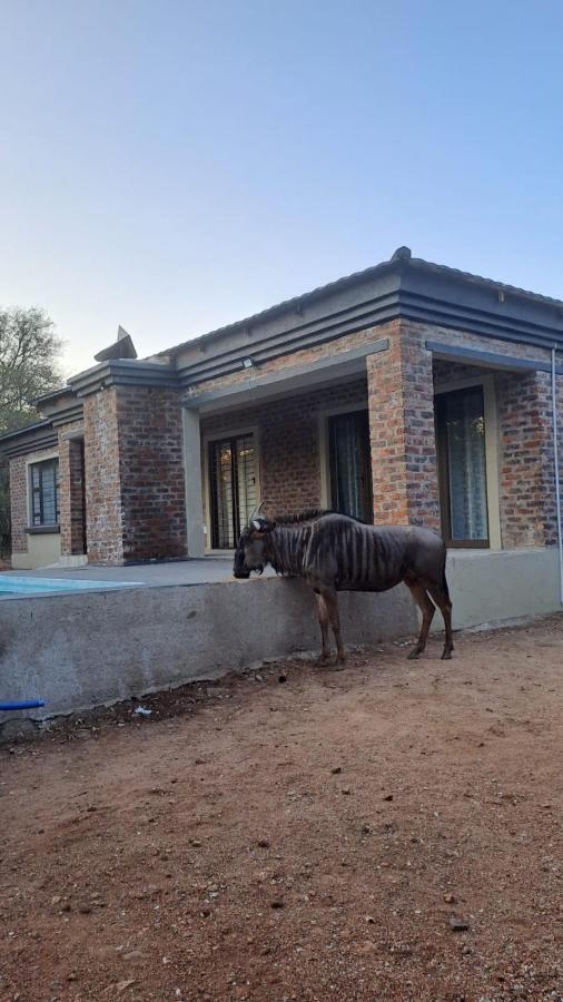 Nanisto Bush Lodge Marloth Park Zewnętrze zdjęcie