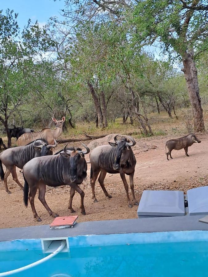 Nanisto Bush Lodge Marloth Park Zewnętrze zdjęcie