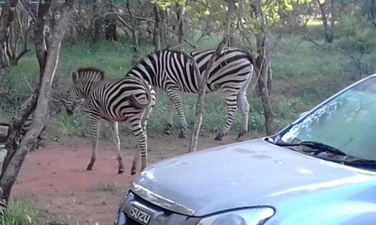 Nanisto Bush Lodge Marloth Park Zewnętrze zdjęcie